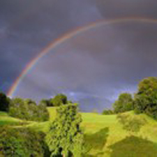 19078_Natur Regenbogen mit Bäumen 225 225.jpg